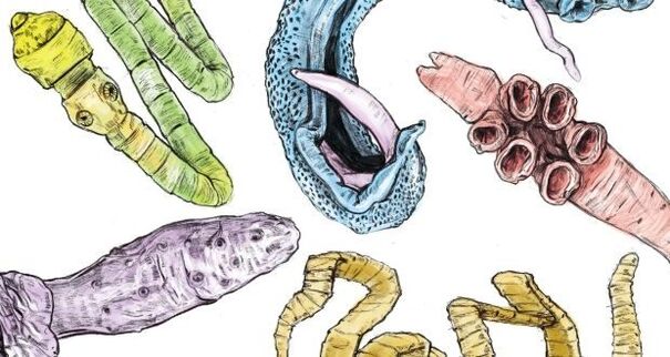 Parasites