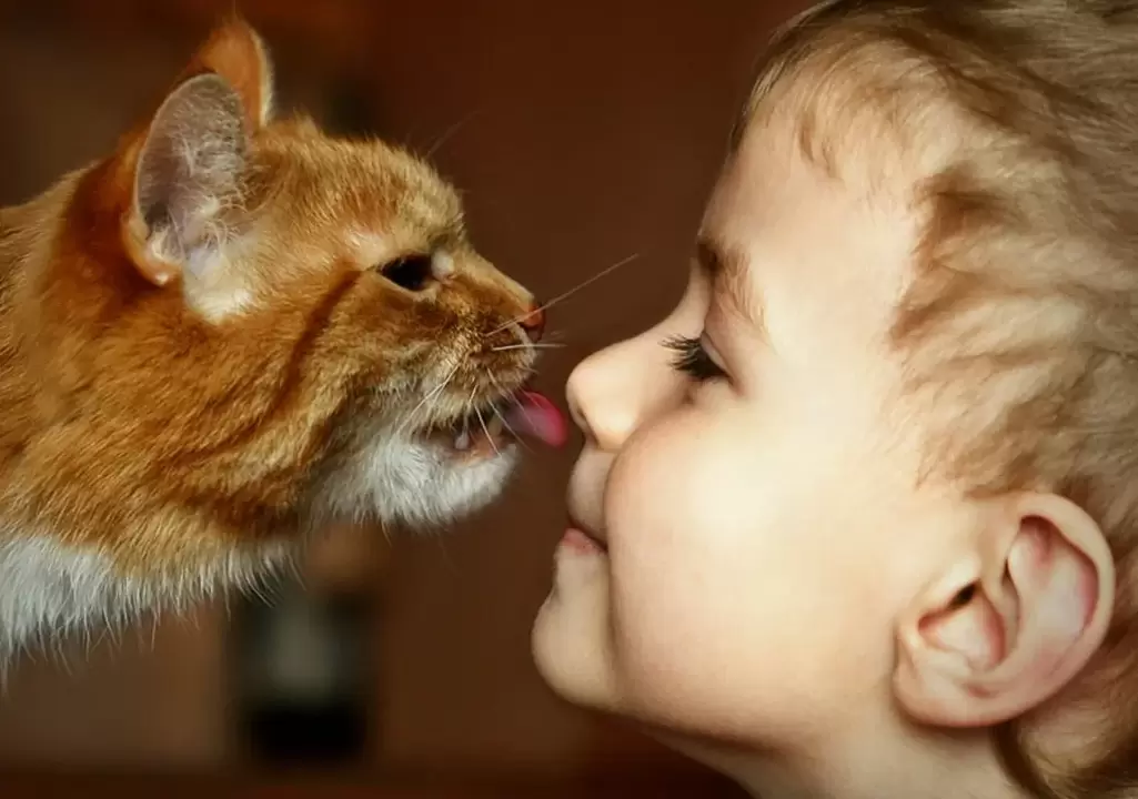a boy kisses a cat and gets worms